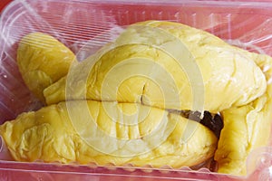 Musang king durian photo