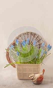 Muscari and bird figurine (mass production) on a gray background