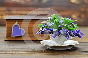 Muscari flowers in vintage cup. Mothers Day, Womens Day, Anniversary card