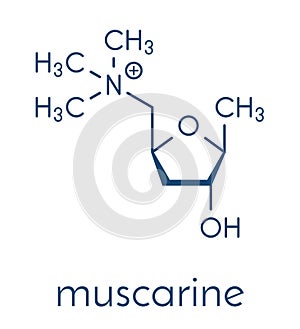 Muscarine mushroom toxin molecule. Agonist of the muscarinic acetylcholine receptors. Skeletal formula. photo