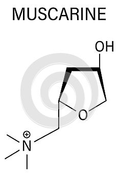 Muscarine mushroom toxin molecule. Agonist of the muscarinic acetylcholine receptors. Skeletal formula.