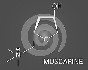 Muscarine mushroom toxin molecule. Agonist of the muscarinic acetylcholine receptors. Skeletal formula.