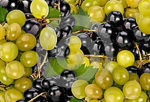 Muscat Grape Background