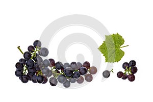 Muscat noir grapes isolated on white background with copy space above