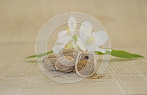 Muscat walnut and white flower