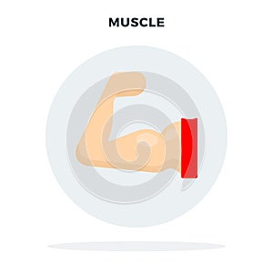 Muscle on the arm in a gray circle vector flat isolated