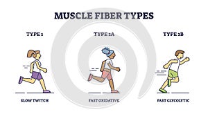 Muscle fiber types with slow and fast twitch activities outline diagram