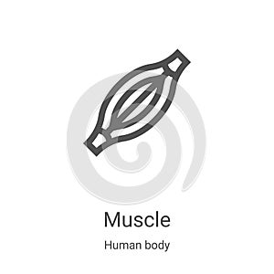 muscle icon vector from human body collection. Thin line muscle outline icon vector illustration. Linear symbol for use on web and