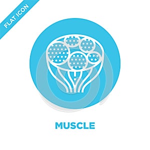 muscle icon vector from human organs collection. Thin line muscle outline icon vector  illustration. Linear symbol for use on web