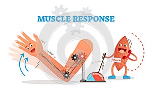 Muscle response conceptual vector illustration scheme with cartoon muscle character receiving nerve impulse and moving hand.