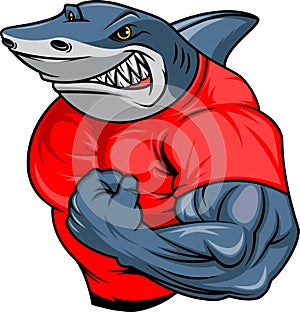 Muscle shark cartoon