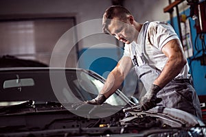 Muscled car mechanic photo