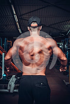 Muscled male model showing his back