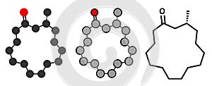 Muscone musk odor molecule. Stylized 2D renderings and conventional skeletal formula.