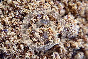 Muscovado sugar