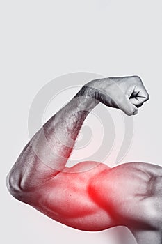 Muscular arm and specialization for biceps training.