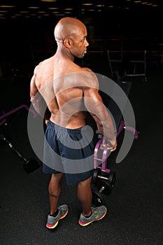 Muscular Back Shoulders and Triceps