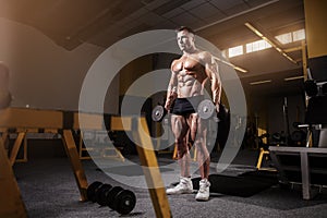 Muscular bodybuilder guy doing exercises with dumbbell