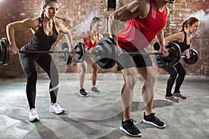 Muscular bodybuilders workout torso