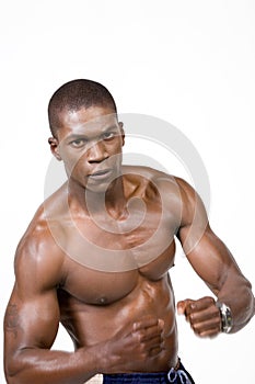 Muscular boxer