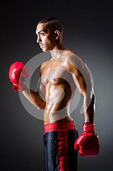 Muscular boxer