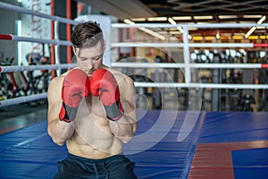 Muscular boxer pray in the ring before fight