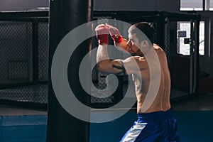 Muscular hardworking fighter practicing with punching bag indoor.