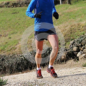 Muscular legs of the fast runner during the cross country Champi