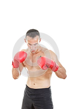 Muscular male boxer ready to fight with boxing gloves