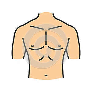 Muscular male chest color icon