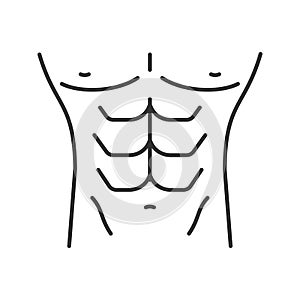 Muscular male torso linear icon