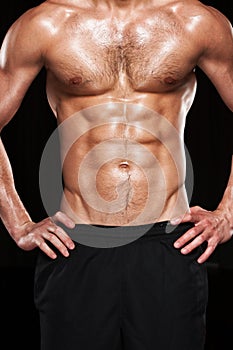 Muscular Male Torso. photo