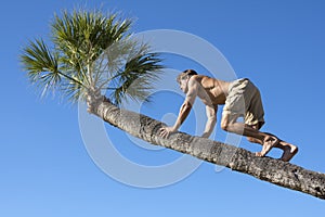 Muscular man climbing trunk of palm tree