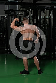 Muscular Man Flexing Muscles Rear Double Biceps Pose