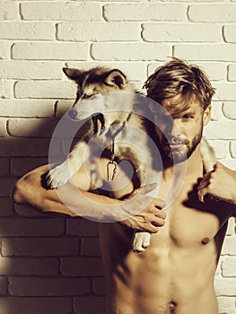 Muscular man with body holds husky dogs, puppy pets