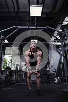 Muscular man working out at bodybuilding gym