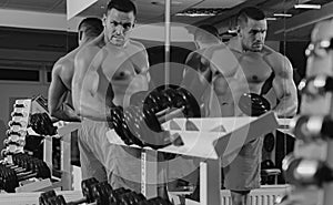 Muscular man working out in gym doing exercise for biceps with dumbbells, strong male bodybuilder. Fitness sports