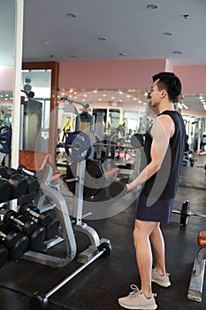 Muscular man working out in gym doing exercises with dumbbells at biceps, strong male naked torso abs