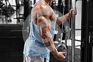 Muscular man working out in gym doing exercises at triceps, strong male