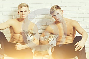 Muscular men twins with body, husky dogs, puppy pets