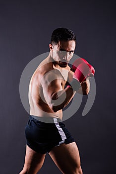 Muscular model sports young man in boxing gloves on grey background. Male flexing his muscles.