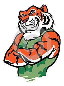 Muscular tiger posing