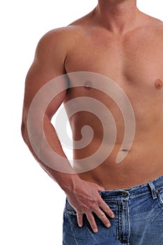 Muscular young man's torso