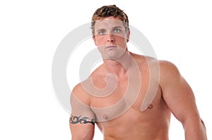 Muscular young man's torso