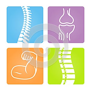 Musculoskeletal Image Icons