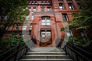 The Museum of Comparative Zoology, at Harvard University, in Cam