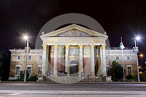 Museum of Fine Arts in Budapest