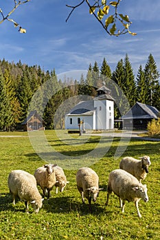 Museum Kysucke dediny in Kysuca, Slovakia