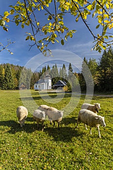 Museum Kysucke dediny in Kysuca, Slovakia