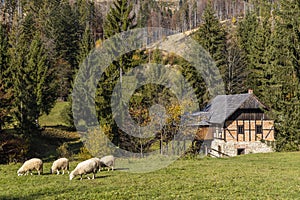 Múzeum Kysuckej dediny na Kysuci, Slovensko